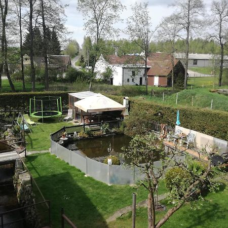 Apartman Ve Mlejne Nová Bystřice Zewnętrze zdjęcie