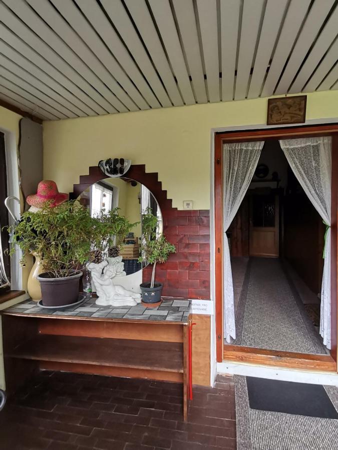 Apartman Ve Mlejne Nová Bystřice Zewnętrze zdjęcie