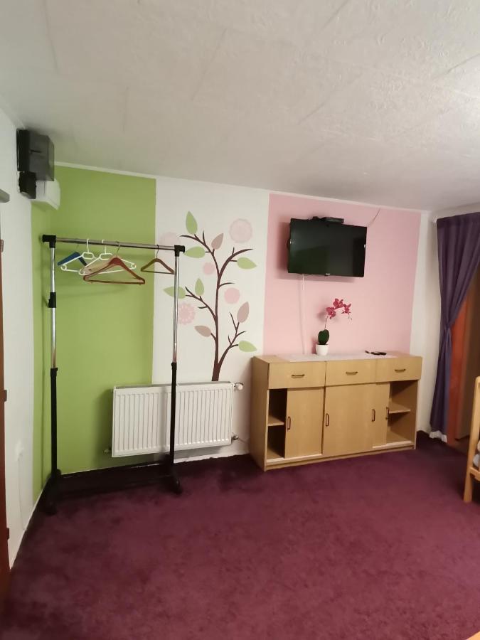 Apartman Ve Mlejne Nová Bystřice Zewnętrze zdjęcie