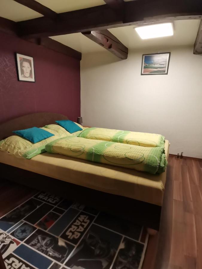 Apartman Ve Mlejne Nová Bystřice Zewnętrze zdjęcie