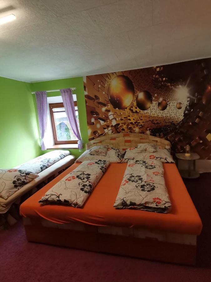 Apartman Ve Mlejne Nová Bystřice Zewnętrze zdjęcie