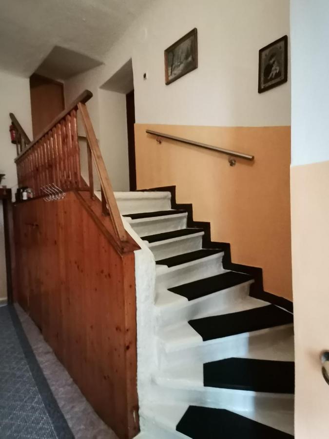 Apartman Ve Mlejne Nová Bystřice Zewnętrze zdjęcie