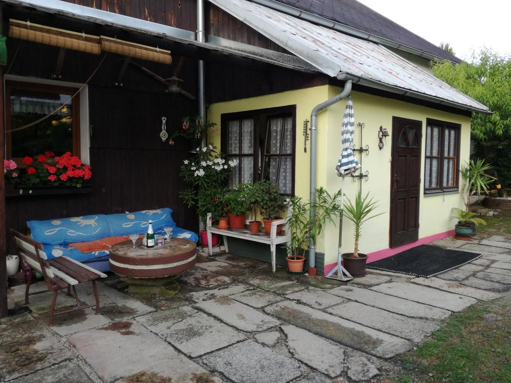 Apartman Ve Mlejne Nová Bystřice Zewnętrze zdjęcie