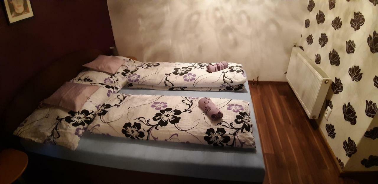 Apartman Ve Mlejne Nová Bystřice Zewnętrze zdjęcie
